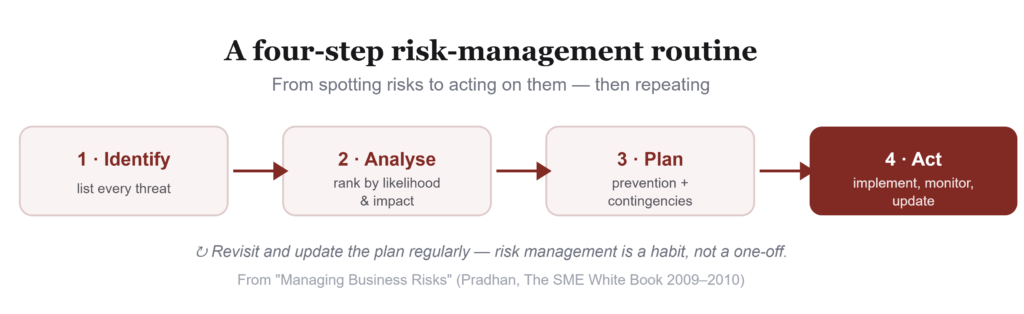 Walking the Tightrope: A Small Business Guide to Risk Management 3 Screenshot 966