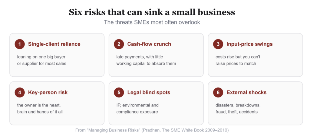 Walking the Tightrope: A Small Business Guide to Risk Management 2 Screenshot 967
