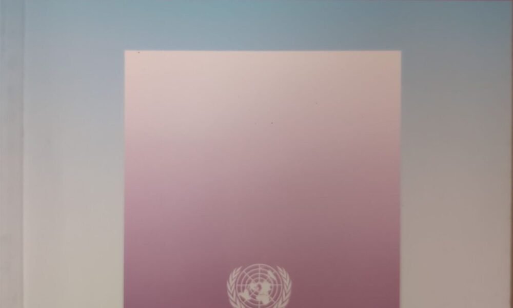 Transnational Corporations 19 1 2010