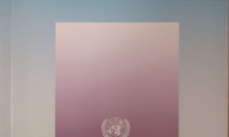 Transnational Corporations 19 1 2010